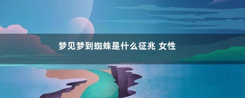 梦见梦到蜘蛛是什么征兆 女性好不好